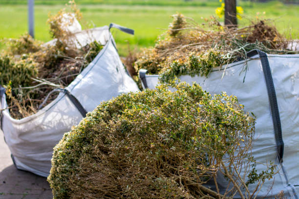 Best Full-Service Junk Removal  in Petal, MS