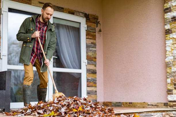 Best Electronics Removal Services  in Petal, MS